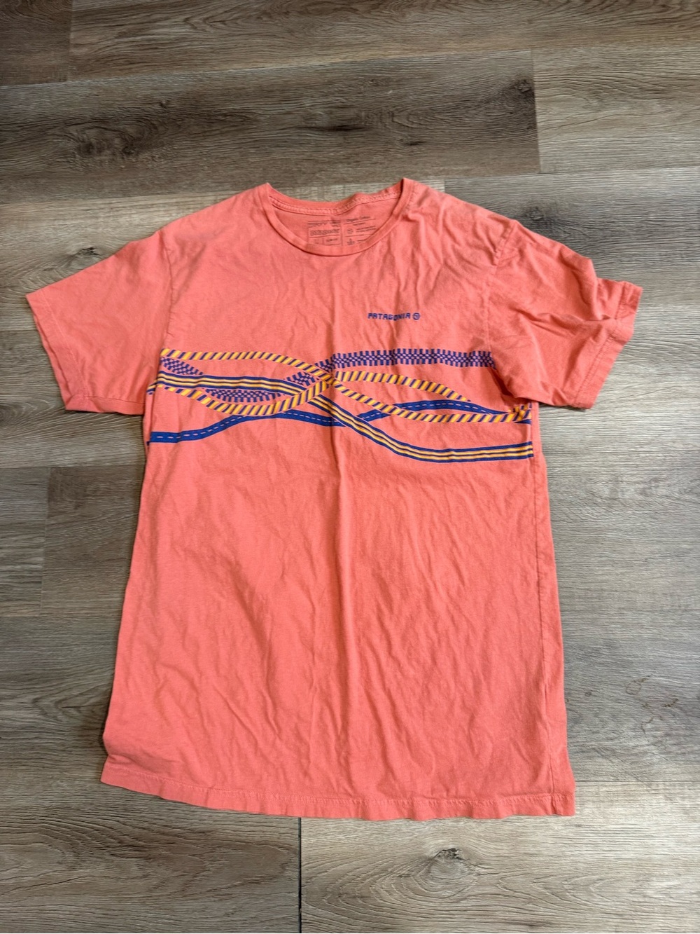 Patagonia Coral Short Sleeve Crewneck Tee with Striped Graphic